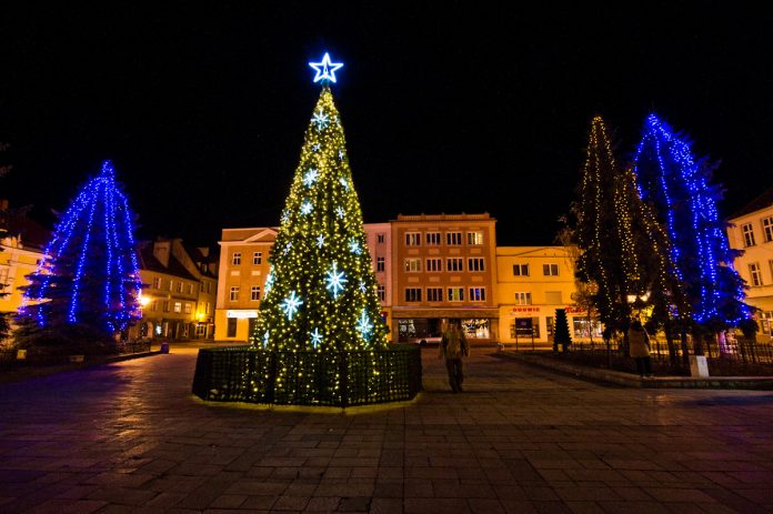 Jej wysokość choinka na starówce